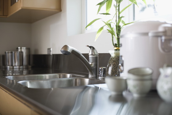 Kitchen sink and counter